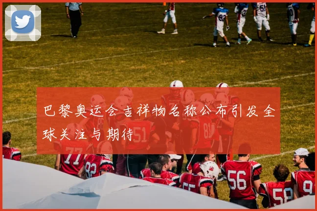 巴黎奥运会吉祥物名称公布引发全球关注与期待