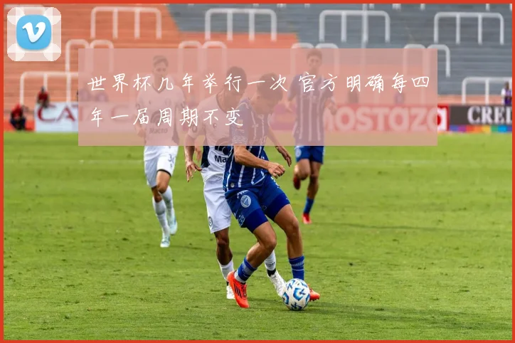 世界杯几年举行一次 官方明确每四年一届周期不变
