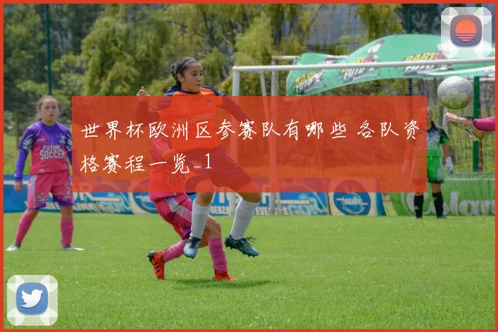世界杯欧洲区参赛队有哪些 各队资格赛程一览_1