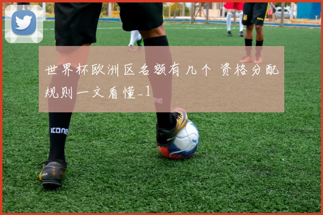 世界杯欧洲区名额有几个 资格分配规则一文看懂_1